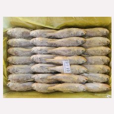 봉화 참조기(61~63미) 3.5kg 1박스