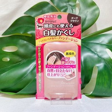 雅娜蒂 白髮遮瑕粉餅, 1個, #黑褐色13g-2027/11