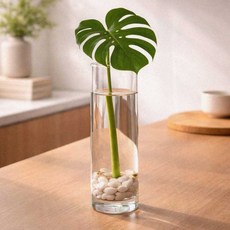 거실 테이블 원통화병 인테리어 생화 투명꽃병 장식 10x30cm