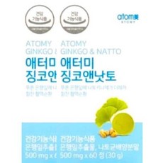 애터미 징코앤낫토 500mg x 60정 x 2박스 4개월분