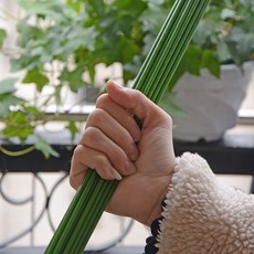 식물 고추지주대 100 가정용, 1개