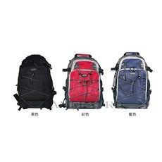 BENRO Sportie-Backpack-S 百諾 Sportie運動系列 運動雙肩 攝影背包 相機專家 [公司貨], 1個