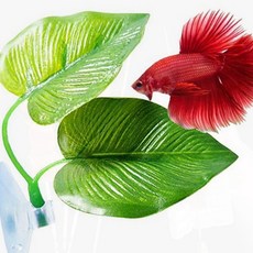 어항콩돌 베타 수초 구피 새우 꾸미기 수조 장식, 1개