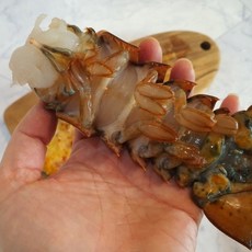산지직송 캐나다산 냉동 랍스터 테일 1미, 1박스, 1미 (110~140g 내외)