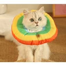 PCTN 냥댕이 펫 넥 카라 고양이 목 보호대 넥카라m 애견 깔때기 목 카라 Pet Neck Collar, PCTN 무지개, 1개