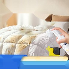 구스다운이불 전용 얼룩제거제 헝가리구스이불 세탁, 1. 1개