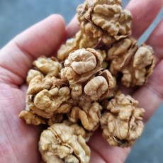 국산호두 호두살 깐호두, 500g, 1개, 조각살