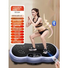음파 진동 운동기 가정용 전신 밸런스 트레이닝 복부 허리 홈트 진동 운동기구, 단일 모델
