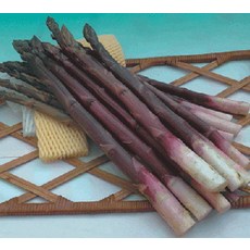 【野菜部屋~】I47 紫衫紫蘆筍種子 口感甜嫩 質地細緻, 1包