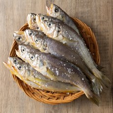 국내산 반건조 참조기 20미 한두릅 조기 굴비