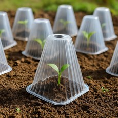 쑥쑥 식물 모종 보호 커버 100p세트 온실 묘목 덮개