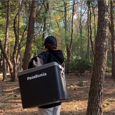 FOART 초경량 에어쿨러 - EPP 피크닉 & 아이스박스 35L (캠핑 차박 피크닉 낚시 마트 자동차 다용도 멀티 - 단열/보온/보냉 개인보냉박스 감성캠핑 ), 그레이