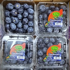 [프리미엄] 겨울 첫 단맛 고당도 블루베리 신시즌 칠레산 생블루베리, 1개, 1팩 (팩/125g, 16mm 이상)
