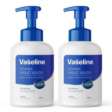 1+1 메르헨트 바세린 세라마이드 대용량 핸드워시 500ml 손세정제 물비누 퍼퓸 향기좋은 리필 거품 폼 휴대용, 2개