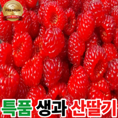 [백화점납품] 고당도 프리미엄 생과 산딸기, 1세트, 250g x 4팩