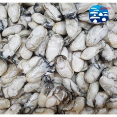 통영 냉동굴 급냉 중 대 특대 1kg, 1개, 냉동굴 대 1kg