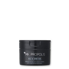 Mr. PROPOLIS 80g 야마다 양봉장 올인원 젤 [화장수 미용액 크림 모공 케어 지성