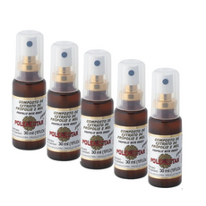 브라질 폴리넥타 그린 프로폴리스 스프레이, 5개, 30ml