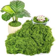 드라우프니르 실내 식물용 가짜 녹색 이끼 DIY 장식용 이끼 테이블 중앙 장식 요정 정원 꽃 결혼식 장식용 5.3온스 가짜 이끼 (150g), Light Green