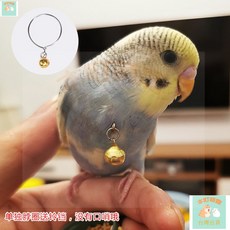 本町萌寵 台灣出貨 小型鳥用脖繩 脖套 鸚鵡腳環鏈 畫眉黃鸝蠟嘴伯勞八哥繩鎖 脖鍊 YrJO, 1個, 虎皮脖套（送鈴鐺）無鍊