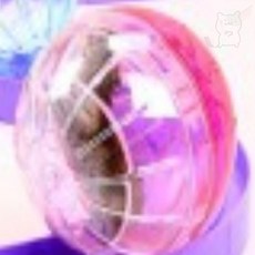 팜파크 햄스터볼 지름 13cm 햄스터 햄스터장난감 햄스터용품, 1개
