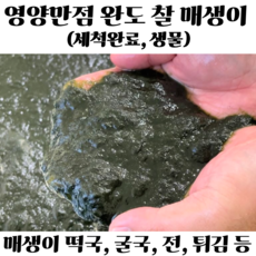 완도 햇 매생이 세척 찰 매생이 생물 급냉 햇 매생이, 1개, 350g