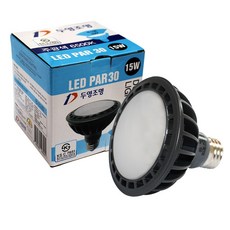 두영 LED PAR30 할로겐 15W 램프 레일조명, 주광색, 1개