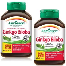 은행잎추출물 이명 완화 뇌영양제 징코빌로바 하루1정 2세트 1통90캡슐 캐나다직배송, 2개, 90정