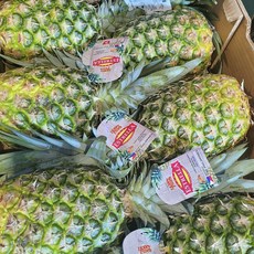 [가락시장 도매가] 필리핀 파인애플 1.6-1.7kg 내외(1통), 1개, 1.6-1.7kg 내외