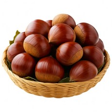 [선별특품] 햇 밤 부여 고당도 꿀밤 알밤 산지직송 (특대사이즈) 디아머스, 5kg, 1박스