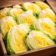 너무 맛있고 깨끗한 국내산 괴산 절임배추, 최대한 빠른날짜, 1개, 20kg