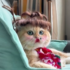 엽기 고양이 가발 코스프레 헤어액세서리 강아지가발, 짙은 갈색 가발(트림 가능)