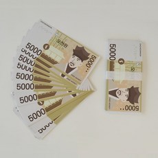 현금 챌린지 페이크머니 & 세이빙 보드 속지 [저축 생활 다이어리 장난감 지폐], 오천원50매, 오천원50매, 1개