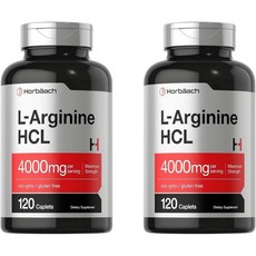 호바흐 L 아르기닌 HCL 4000MG 120정 2개