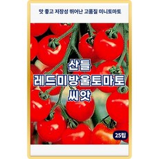 산들 레드미 방울토마토 씨앗 25립 무한생장형 조생종 토마토씨 종자, 1개