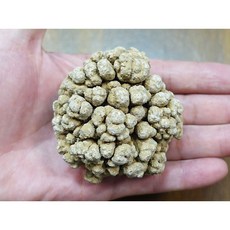 能量礦石 泰國宗教礦物 腦舍利 196公克 寮國洞穴古代嘛呢石, 1個