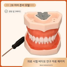 구강 모형 스케일링 치아 연습용 치과 치아모형, 1. 전치 탈부착 모델