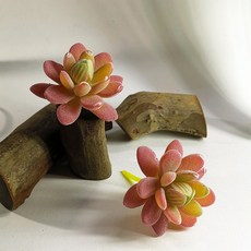 hongji 仿真多肉植物, P127仿真多肉+木頭底座(隨機), 1套