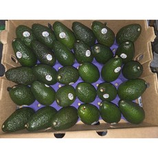 [쥬씨] 산지직송 프리미엄 하스 아보카도 30입 5.6kg (칠레산 CAT 1등급), 1박스, 2.5kg내외