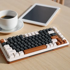 [ABKO] AK81BT 3MODE 특주축 Melon 45g, 제조사축, 루왁 커피