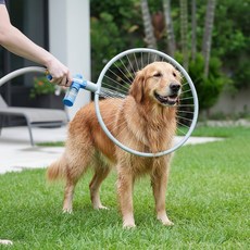 강샵 반려견 샤워링 애견셀프목욕