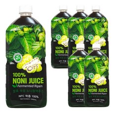파모빗 베트남 발효숙성 노니원액주스 대용량 1Lx6병, 1L