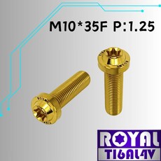 ROYAL M10*35F P:1.25 飛碟頭型螺絲 64鈦/鈦合金螺絲 土豪金, 1個