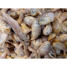 황석어젓 5키로 국내산(조미료0) 2년 숙성, 1개, 5kg