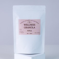웰니스그래놀라 저당 수제 그래놀라 카카오 200g, 1개