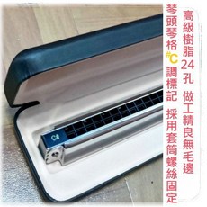 24孔 C調/升C調 複音口琴-愛樂芬音樂, 銀色, 1個, EASTTOP T2403