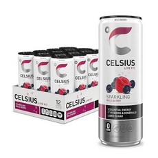 셀시어스 스파클링 레트로 바이브 에너지 드링크 355ml 12캔 210280, 스파클링 와일드 베리