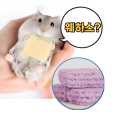 햄스터간식 포도 웨하스 이갈이 골든햄스터 간식 이갈이 먹이 사료 밥, 1세트, 12개