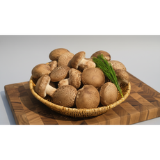 [고급선물용] 은은한 송향과 쫄깃한 탄탄한 식감의 옥천 송화버섯 선물세트, 1세트, 맛드림 송화버섯 프리미엄 선물용 특 1kg