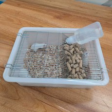 쥐사육장 실험실 플라스틱 번식상자 마우스 연구실, 1개